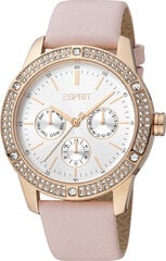 Женские часы Esprit ES1L338L0035 цена и информация | Женские часы | 220.lv