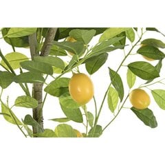 Дерево DKD Home Decor Лимонное дерево полиэстер полипропилен (90 x 90 x 180 cm) цена и информация | Искусственные цветы | 220.lv