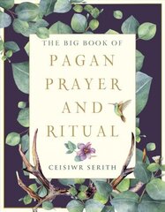 Big Book of Pagan Prayer and Ritual cena un informācija | Pašpalīdzības grāmatas | 220.lv