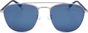 Мужские солнечные очки Polaroid PLD 2106_G_S PALLADIUM цена и информация | Солнцезащитные очки для мужчин | 220.lv
