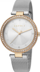 Женские часы Esprit ES1L151M0125 цена и информация | Женские часы | 220.lv