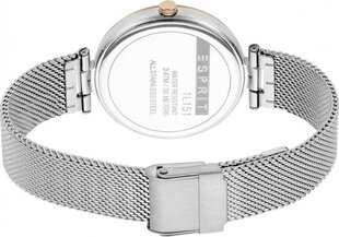 Женские часы Esprit ES1L151M0125 цена и информация | Женские часы | 220.lv