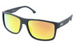 Polarizētas saulesbrilles vīriešiem PolarZone FH34 cena un informācija | Saulesbrilles  vīriešiem | 220.lv