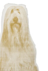 Подушка Areaware Fauna Bearded Collie, 41 см. цена и информация | Подушки | 220.lv