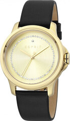 Esprit Sieviešu Pulkstenis Esprit ES1L147L0025 S7234721 цена и информация | Женские часы | 220.lv