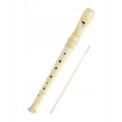 Bērnu komplekts flauta + tīrīšanas līdzeklis cena un informācija | Pūšamie instrumenti | 220.lv