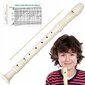 Bērnu komplekts flauta + tīrīšanas līdzeklis цена и информация | Pūšamie instrumenti | 220.lv