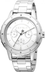 Женские часы Esprit ES1L140M0075 цена и информация | Женские часы | 220.lv