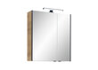 Spoguļstikla skapis ar LED apgaismojumu 03-I ozols cena un informācija | Vannas istabas skapīši | 220.lv