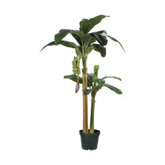 Декоративное растение Mica Decorations (115 x 180 см) цена и информация | Искусственные цветы | 220.lv