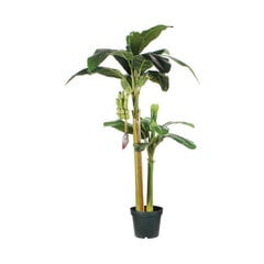 Декоративное растение Mica Decorations (115 x 180 см) цена и информация | Искусственные цветы | 220.lv