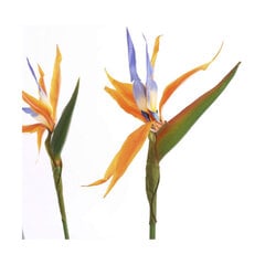 Декоративное растение Mica Decorations (60 x 110 cm) цена и информация | Искусственные цветы | 220.lv