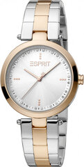 Женские часы Esprit ES1L314M0095 цена и информация | Женские часы | 220.lv