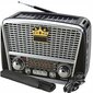 Golon RX-BT455S Retro цена и информация | Radioaparāti, modinātājpulksteņi | 220.lv