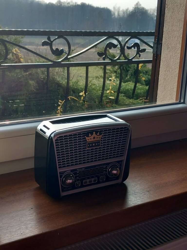 Golon RX-BT455S Retro cena un informācija | Radioaparāti, modinātājpulksteņi | 220.lv