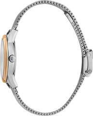 Женские часы Esprit ES1L239M1155 цена и информация | Женские часы | 220.lv