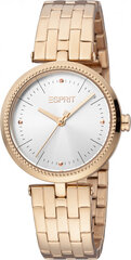 Женские часы Esprit ES1L310M0105 цена и информация | Женские часы | 220.lv