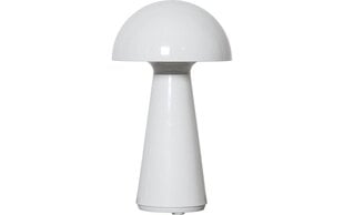 Настольная лампа Star Trading Mushroom цена и информация | Настольные светильники | 220.lv