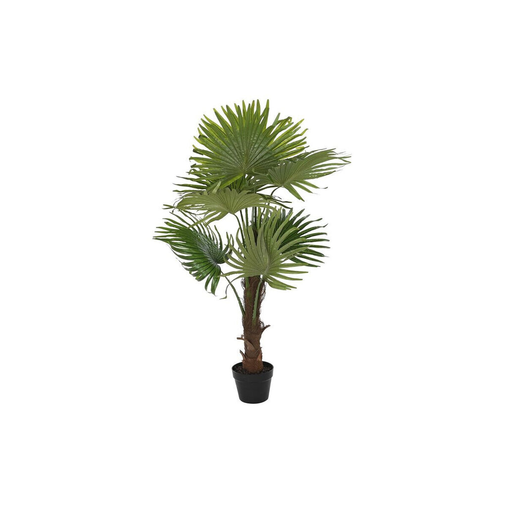 Dekoratīvs Augs DKD Home Decor Zaļš PE Palmas koks (50 x 50 x 120 cm) cena un informācija | Mākslīgie ziedi | 220.lv