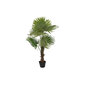 Dekoratīvs Augs DKD Home Decor Zaļš PE Palmas koks (50 x 50 x 120 cm) цена и информация | Mākslīgie ziedi | 220.lv
