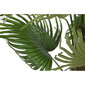 Dekoratīvs Augs DKD Home Decor Zaļš PE Palmas koks (50 x 50 x 120 cm) cena un informācija | Mākslīgie ziedi | 220.lv