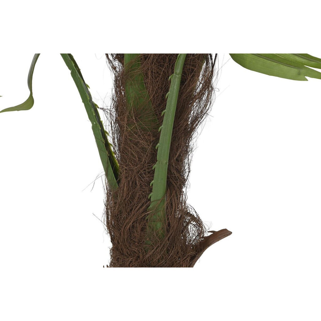 Dekoratīvs Augs DKD Home Decor Zaļš PE Palmas koks (50 x 50 x 120 cm) цена и информация | Mākslīgie ziedi | 220.lv