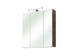 Spoguļstikla skapis ar LED apgaismojumu 66-I ozols цена и информация | Шкафчики для ванной | 220.lv