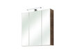Spoguļstikla skapis ar LED apgaismojumu 66-I ozols cena un informācija | Vannas istabas skapīši | 220.lv