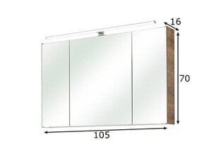 Spoguļstikla skapis ar LED apgaismojumu 66-III ozols цена и информация | Шкафчики для ванной | 220.lv