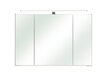 Spoguļstikla skapis ar LED apgaismojumu 66-III ozols цена и информация | Vannas istabas skapīši | 220.lv