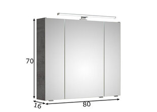 Spoguļstikla skapis ar LED apgaismojumu 66-II tumši pelēks cena un informācija | Vannas istabas skapīši | 220.lv