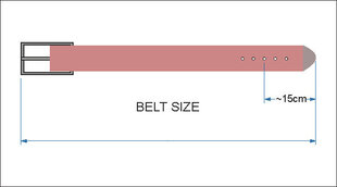 Ādas siksna cena un informācija | Vīriešu jostas | 220.lv
