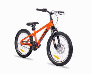 Велосипед детский Insera Breeze 20", оранжевый цвет цена и информация | Велосипеды | 220.lv