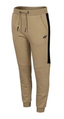 Спортивные штаны для мальчиков 4F светло-коричневый HJZ22 JSPMD002 82S цена и информация | Штаны для мальчиков | 220.lv