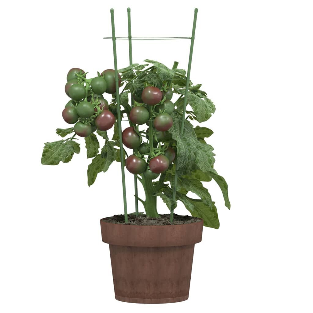 vidaXL dārza augu mietiņi ar 3 gredzeniem, 5 gb., zaļi, 45 cm, tērauds cena un informācija | Ziedu statīvi, puķu podu turētāji | 220.lv