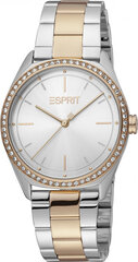 Женские часы Esprit ES1L289M0095 цена и информация | Женские часы | 220.lv