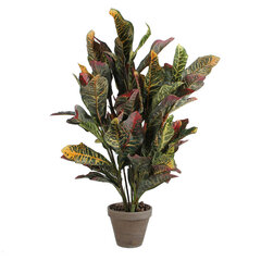 Dekoratīvs Augs Mica Decorations Croton Zaļš PVC (73 x 40 cm) cena un informācija | Mākslīgie ziedi | 220.lv