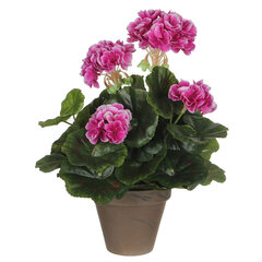 Декоративное растение Mica Decorations PVC Герань (11,5 x 33 cm) цена и информация | цветочные соцветия 1 шт | 220.lv