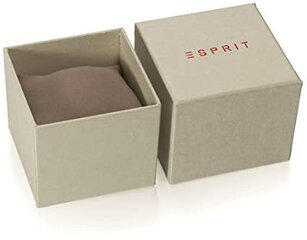 Женские часы Esprit ES1L284L0115 цена и информация | Женские часы | 220.lv