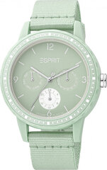 Женские часы Esprit ES1L284L0115 цена и информация | Женские часы | 220.lv
