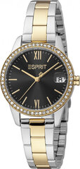 Женские часы Esprit ES1L315M0115 цена и информация | Женские часы | 220.lv