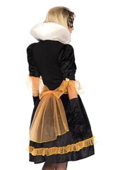 Платье в стиле борокко цена и информация | Карнавальные костюмы, парики и маски | 220.lv