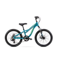 Детский велосипед Romet Rambler Fit, для 6-9 лет, 20 дюймов цена и информация | Велосипеды | 220.lv