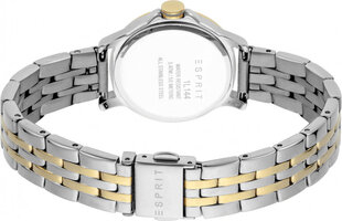 Женские часы Esprit ES1L144M0105 цена и информация | Женские часы | 220.lv