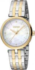 Женские часы Esprit ES1L296M0115 цена и информация | Женские часы | 220.lv