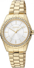 Женские часы Esprit ES1L319M0045 цена и информация | Женские часы | 220.lv