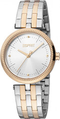 Женские часы Esprit ES1L296M0125 цена и информация | Женские часы | 220.lv