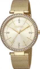Женские часы Esprit ES1L310M0135 цена и информация | Женские часы | 220.lv