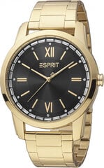 Женские часы Esprit ES1L325M0075 цена и информация | Женские часы | 220.lv