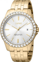 Женские часы Esprit ES1L318M0075 цена и информация | Женские часы | 220.lv